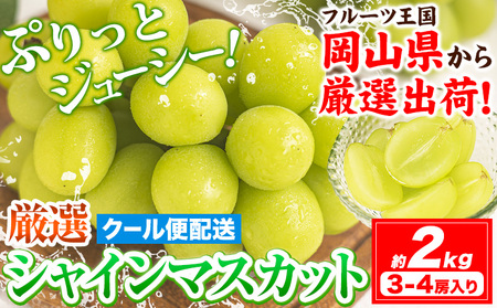 シャインマスカット 約2kg マスカット