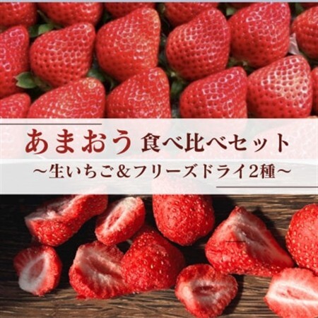 あまおう食べ比べセット【生いちご＆フリーズドライ】(水巻町)【配送不可地域：離島】【1641669】