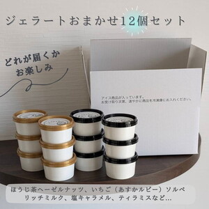 橿原　手作りジェラート12個セット