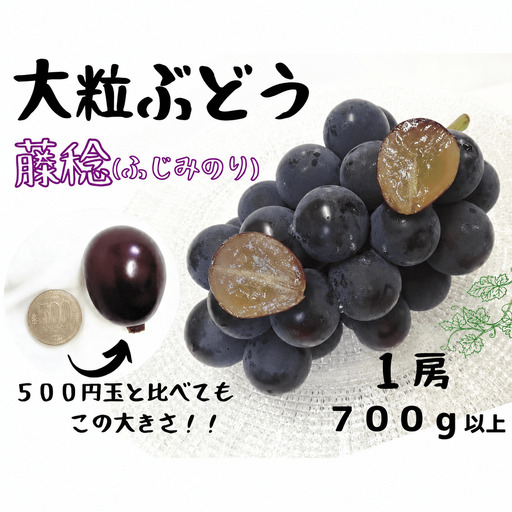 【 厳選品 】※2027年の予約です！※ 大粒希少品種　藤稔 1房700g以上! 【2027年8月下旬～発送予定】離島発送不可 / 数量限定 ぶどう 葡萄 先行予約 フルーツ 果物 藤稔 ふじみのり 新鮮 当日出荷 贈答 希少 新鮮 当日出荷 林ファミリー 真庭市【hfbd014-03】