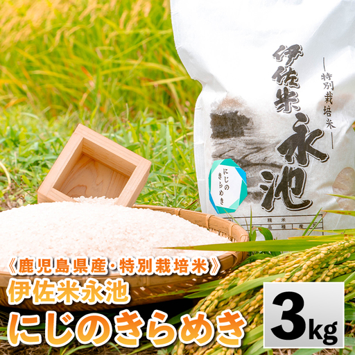 isa744 《数量限定》令和7年産 特別栽培米 伊佐米永池 にじのきらめき(3kg) 伊佐市 永池 特産品 お米 米 白米 精米 伊佐米 にじのきらめき 3kg 【エコファーム永池】