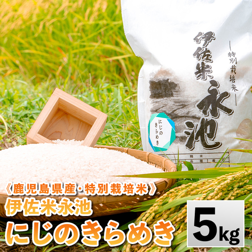 isa745 《数量限定》令和7年産 特別栽培米 伊佐米永池 にじのきらめき(5kg) 伊佐市 永池 特産品 お米 米 白米 精米 伊佐米 にじのきらめき 5kg 【エコファーム永池】
