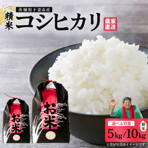 精米 10kg 令和7年産 コシヒカリ 茨城県 下妻市産