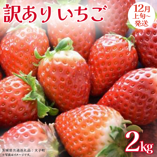 訳あり いちご 2kg【2026年12月上旬発送開始】(茨城県共通返礼品：大子町) 苺 果物 フルーツ 果実 ご家庭用