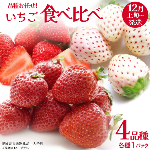 いちごの 食べ比べ 4品種×1パック【2026年12月上旬発送開始】(茨城県共通返礼品：大子町) いちご 苺 果物 フルーツ 果実
