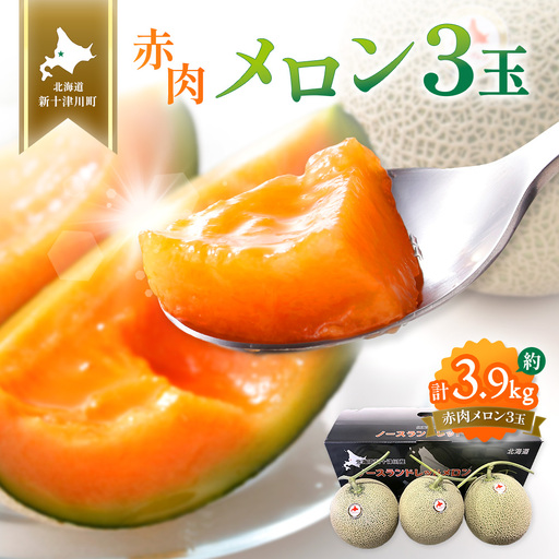 【先行予約】【数量限定】 赤肉メロン3玉【令和８年７月～８月上旬発送】【1203201】