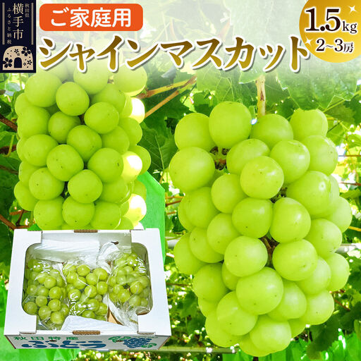 横手市産 シャインマスカット 約1.5kg（2～3房）ご家庭用