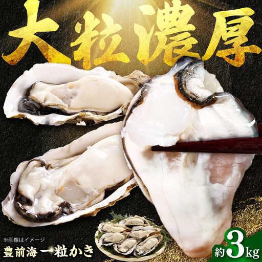 【先行予約】 豊前海 一粒かき 約3kg[BGBD002]牡蠣
