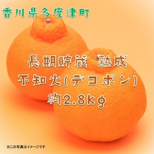 長期貯蔵 熟成 不知火(でこぽん)約2.8kg[予約受付中!令和9年5月中旬より発送][B-29]