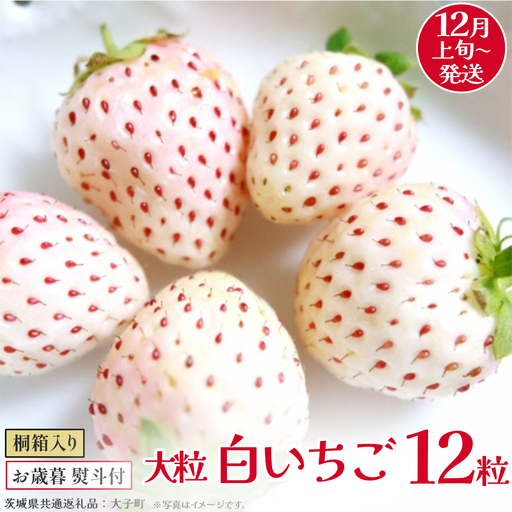 【 お歳暮 熨斗付き 】 桐箱入り 大粒 白いちご 12粒 (茨城県共通返礼品：大子町)