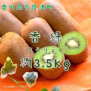 香川県オリジナルキウイフルーツ「香緑」約3.5kg【予約受付中！令和8年11月下旬頃から発送】【B-31】