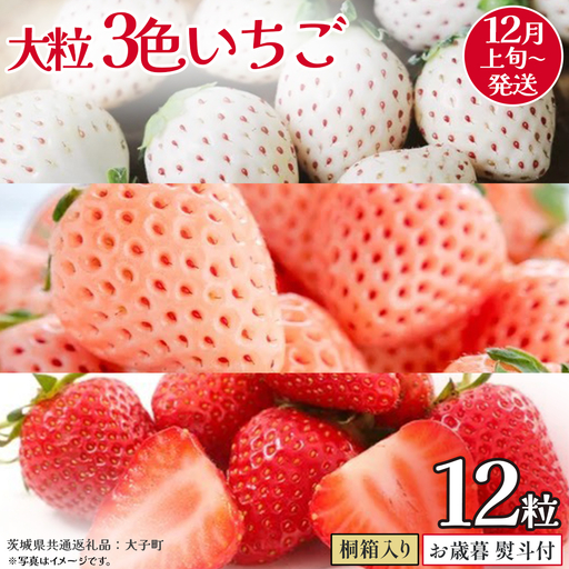 【 お歳暮 熨斗付き 】桐箱入り 大粒 3色いちご 12粒 (茨城県共通返礼品：大子町)