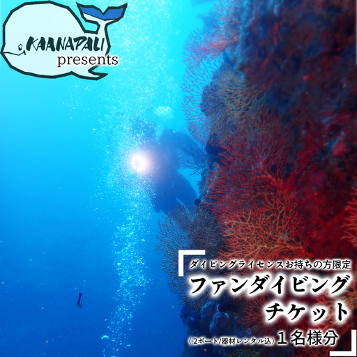 水着1つでお越しください!徳島最南端の海でファンダイビング!