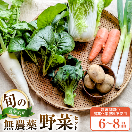 旬 ココニコ おまかせ 野菜セット 6〜8品