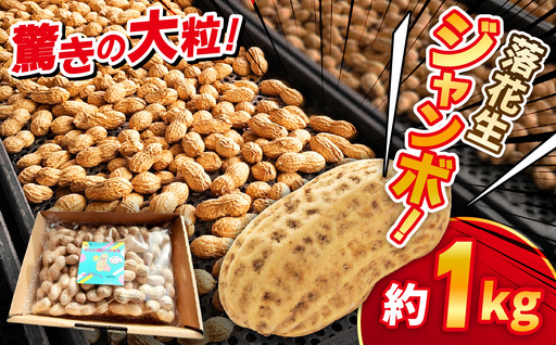 ジャンボ落花生約1kg | 落花生 ピーナッツ おつまみ おいしい グルメ 兵庫県 上郡町