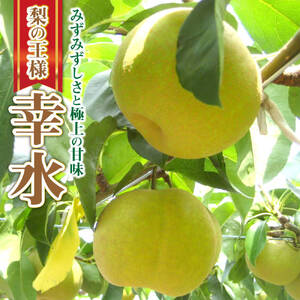 [2026年先行予約]＼リピ続出の夏限定梨/あいとう梨 10〜12玉[2026年8月下旬‐9月中旬頃出荷] あいとうマーガレットステーション 滋賀県 東近江市 A-D41 梨 幸水 豊水 フルーツ 果物 旬 高糖度 産地直送 ギフト 贈答用