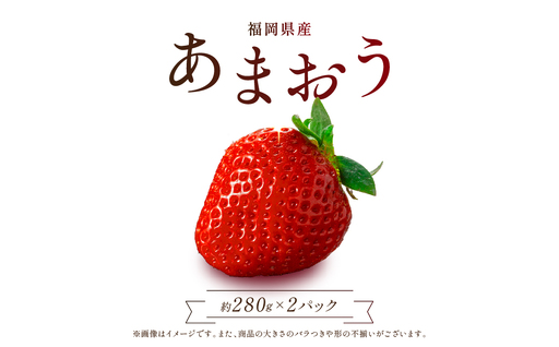 [先行予約/2027年出荷]福岡県産あまおう[280g×2パック] 2Z5-S