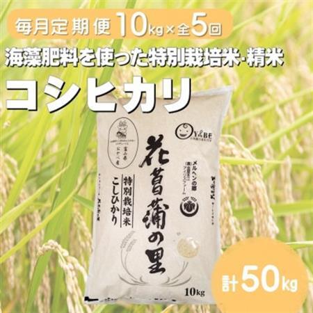 【毎月定期便】特別栽培米コシヒカリ(花菖蒲の里)(精米)10kg全5回【4075016】