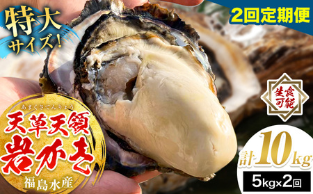 岩牡蠣 定期便 2回 5kg カキ 岩かき 福島水産
