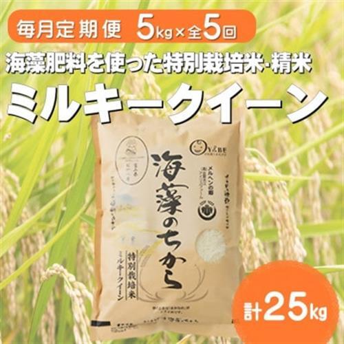 【毎月定期便】ミルキークイーン(海藻のちから)(精米)5kg全5回【4075146】