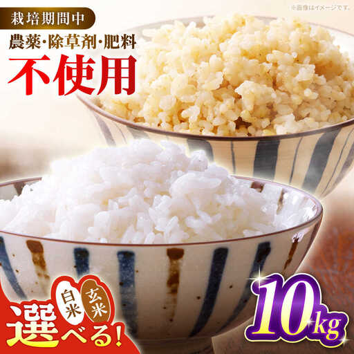 令和7年産 米 10kg 黒川つばくろ農園[AWCB002]米