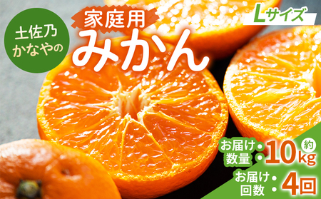 みかん 定期便 4回 家庭用 10kg(Lサイズ) みかん Wbe-0124