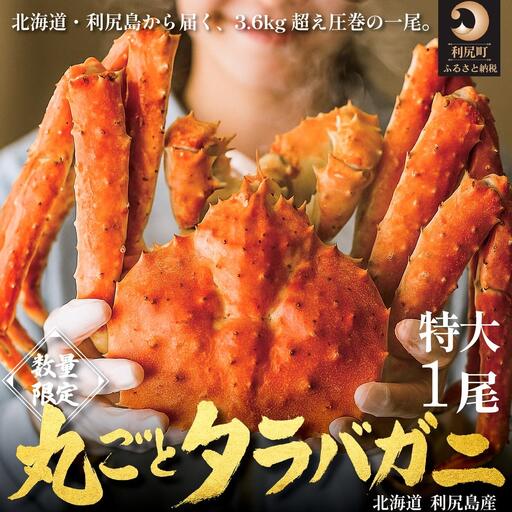 北海道 利尻島産 タラバガニ 丸ごと１尾 3.6kg以上｜冷凍ボイル 国産 蟹 たらば カニ  茹で蟹 魚介類 [1110009]