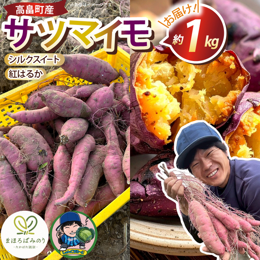 [期間限定発送] さつまいも 2種 紅はるか シルクスイート 詰め合わせ 約1kg (4?6本)