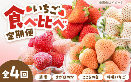 【先行予約 2027年1月〜発送】【4回定期便】淡雪・さがほのか・こころの色・冷凍いちご いちご
