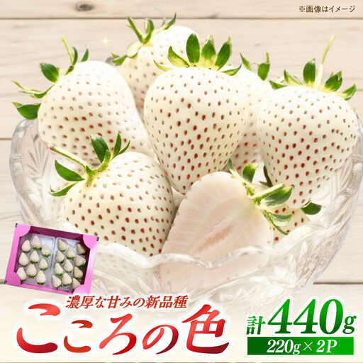 【先行予約】こころの色 220g×2パック いちご IBH016