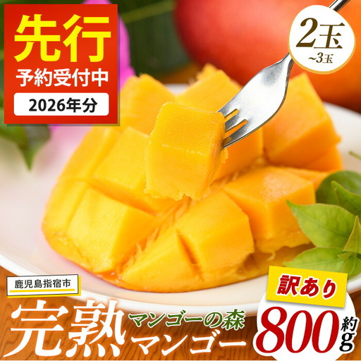 【2026年 発送】【訳あり】しあわせ完熟マンゴー 約800g(マンゴーの森/IB040-015)  2玉 ～ 3玉 国産 南国 指宿産 鹿児島 アップルマンゴー マンゴー 果物 くだもの フルーツ 完熟 産地直送 お取り寄せ