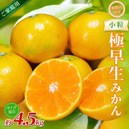 みかん 極早生小粒みかん 約4.5kg【家庭用】【BV-mrmt052】