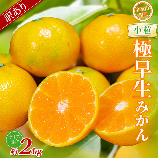みかん　極早生小粒みかん 約2kg【訳あり】 【BV-mrmt056】