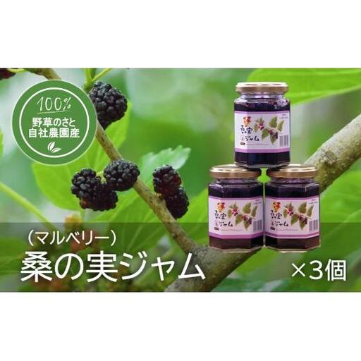 桑の実ジャム150ｇ（3個）