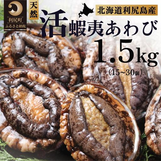 【10～12月発送受付】活アワビ 1.5kg 天然蝦夷あわび 利尻島産【期間限定】利尻昆布を食べて育った美味しいあわび [1060137]