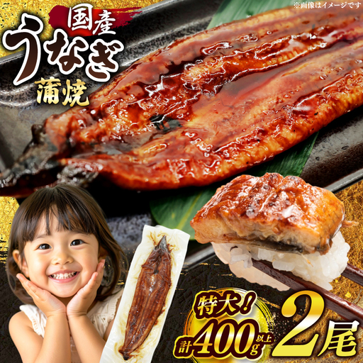 うなぎ 蒲焼 国産 特大 2尾 うなぎ
