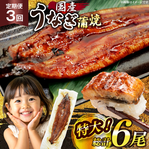 【定期便3回】 うなぎ 蒲焼 国産 特大 2尾 うなぎ