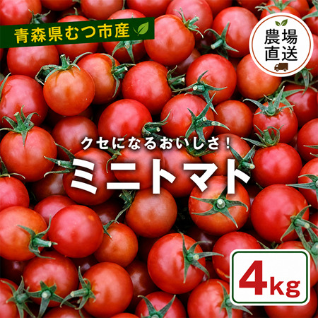 むつ市産 寅福菜園の「ミニトマト」4kg
