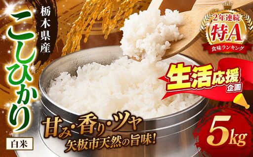 矢板市特別栽培米 お米 訳あり こしひかり 白米 5kg |栃木県 矢板市