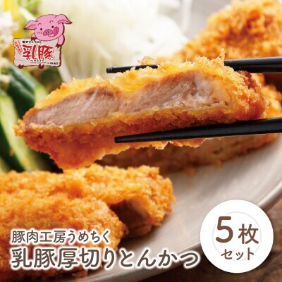 Z04-07 乳豚厚切りとんかつ5枚 豚肉