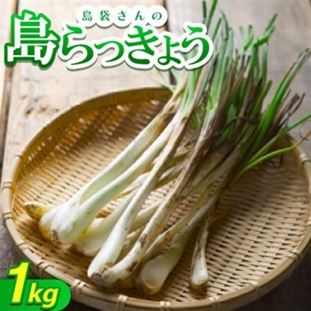 [2027年5月上旬から順次発送]農家直送 島袋さんの採れたて島らっきょう1kg