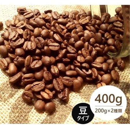 発送当日珈琲豆焙煎!スペシャルティ珈琲豆200g×2種類(豆)【1604203】