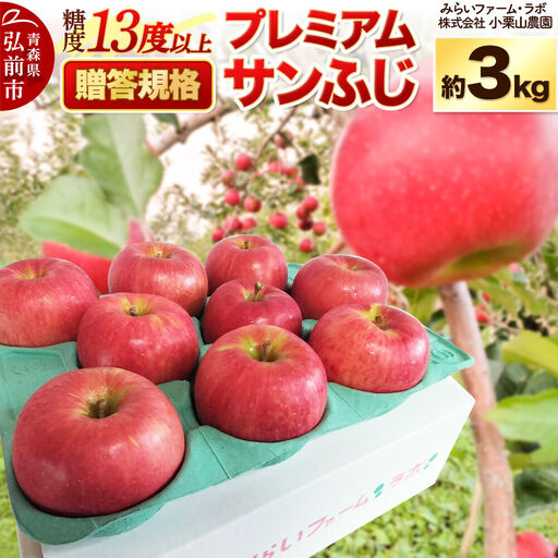 【26年12月発送】りんご 糖度13度以上【贈答規格】プレミアム サンふじ 約3kg 先行受付