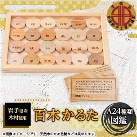 百木 かるた A24種類 (図鑑)[配送不可地域:離島・沖縄県]