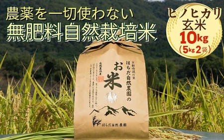 令和7年産 自然栽培米 ヒノヒカリ＜農薬を一切使わない無肥料栽培＞玄米 10kg（5kg×2）