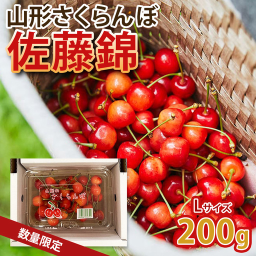 山形のさくらんぼ！食べきりサイズで大人気！佐藤錦 200g L玉 【令和9年産先行予約】FS25-060