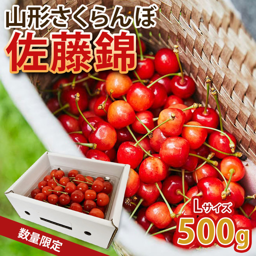 山形の旬をお届け！さくらんぼ佐藤錦！500g L玉 【令和9年産先行予約】FS25-068