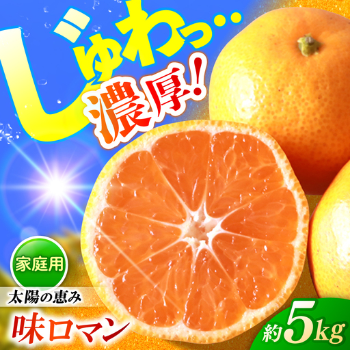 味ロマン家庭用 みかん5kg CGU001 みかん