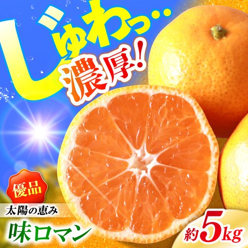 味ロマン みかん5kg CGU002 みかん