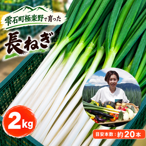 雫石町極楽野 長ねぎ 2kg以上(目安本数:約20本)土なし|新鮮野菜を産地直送!「高橋農園」